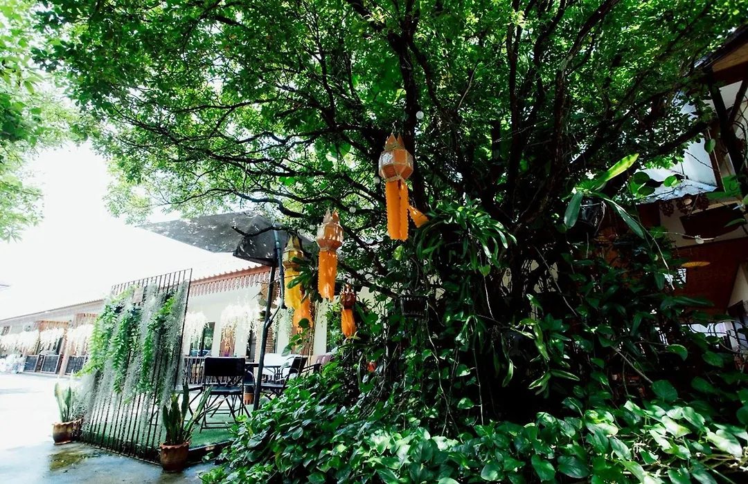 Gita'S House-1